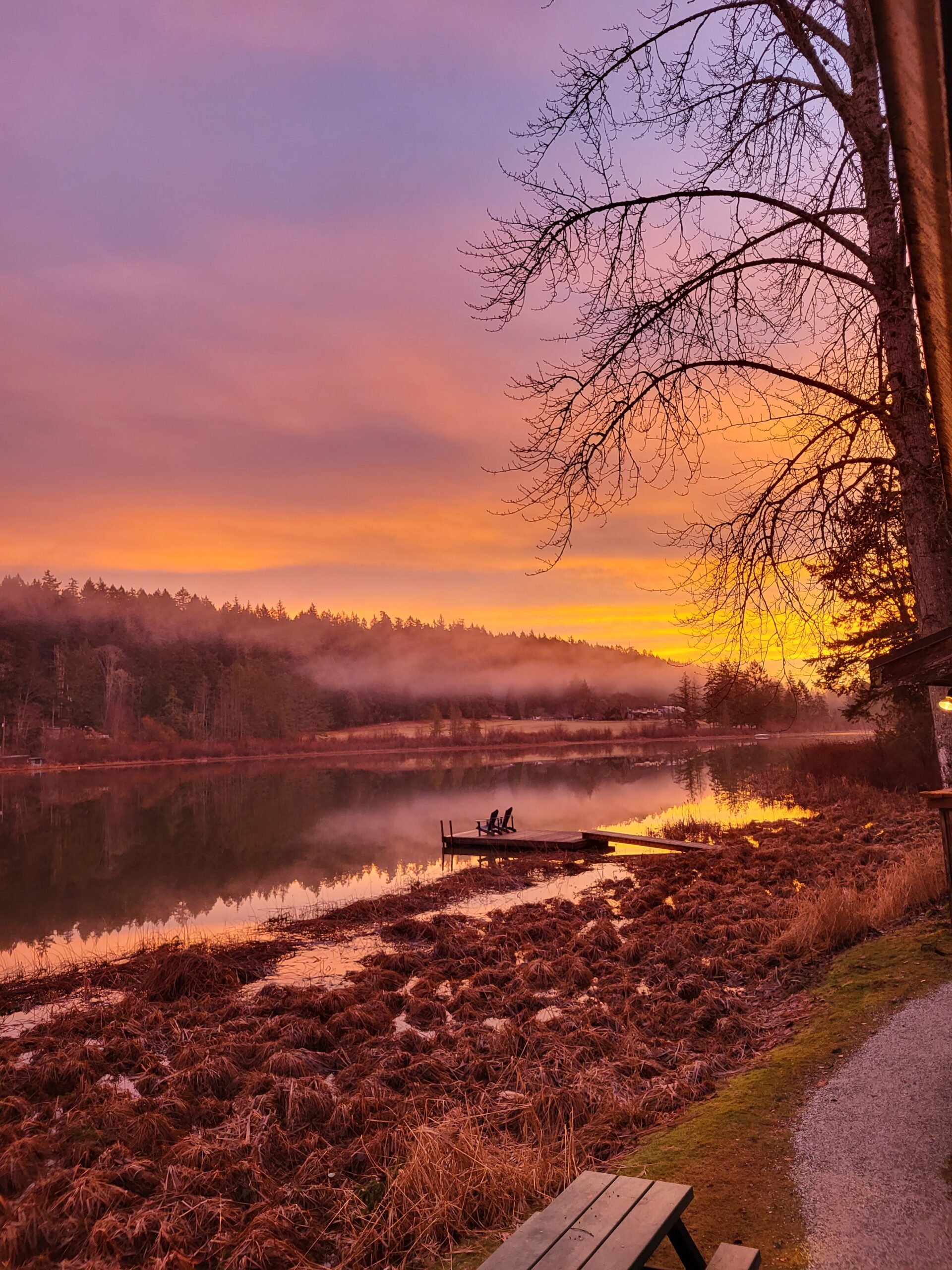 Sunrise view from cabins on the east side of the property